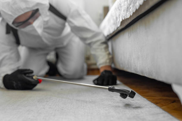 Professional Termite Control technician working in Fort Pierce North, FL