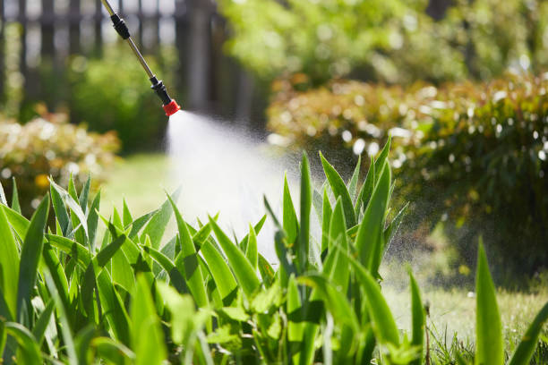 24/7 Emergency Termite Control experts in Fort Pierce North, FL