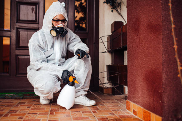 Reliable Termite Control contractor in Fort Pierce North, FL by Nex Pest Control