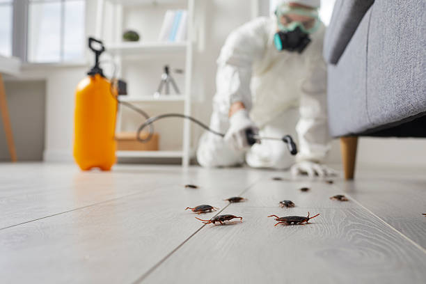 Trusted Rodent Control service in Fort Pierce North, FL - Nex Pest Control