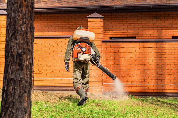 Trusted Ant Control service in Fort Pierce North, FL - Nex Pest Control